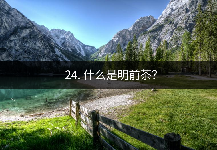 ? 24. 什么是明前茶？
