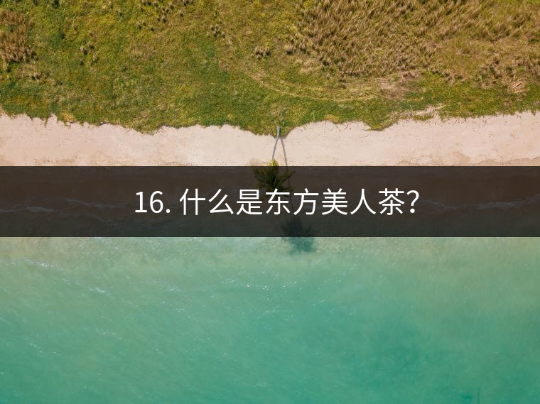 ? 16. 什么是東方美人茶？