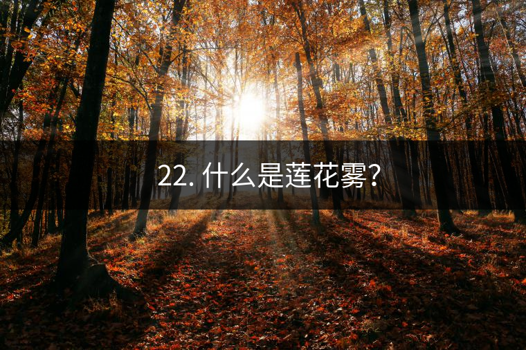? 22. 什么是蓮花霧？