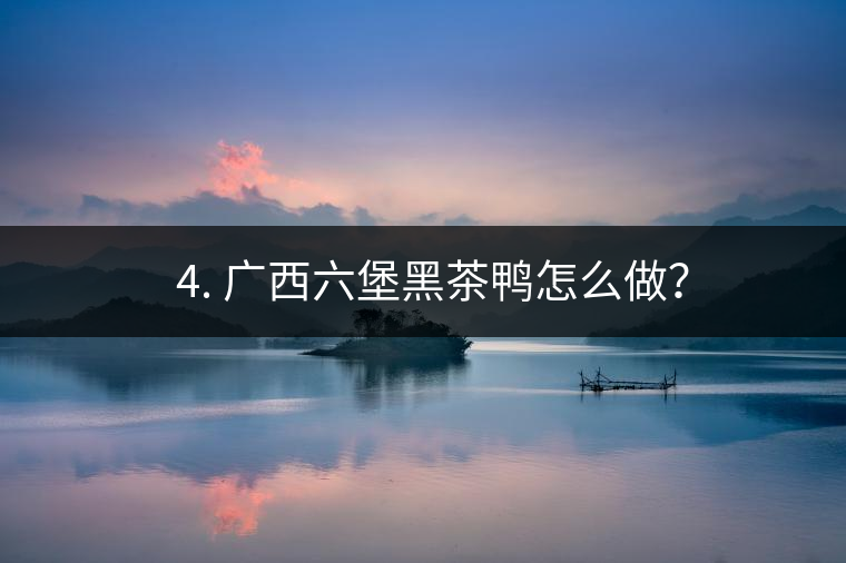 ? 4. 廣西六堡黑茶鴨怎么做？