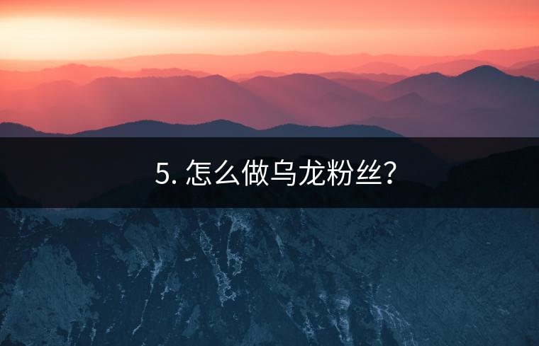 ? 5. 怎么做烏龍粉絲？