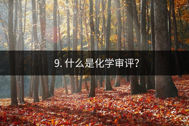 ? 9. 什么是化學(xué)審評(píng)？