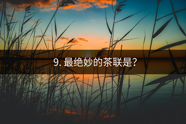 ? 9. 最絕妙的茶聯(lián)是？