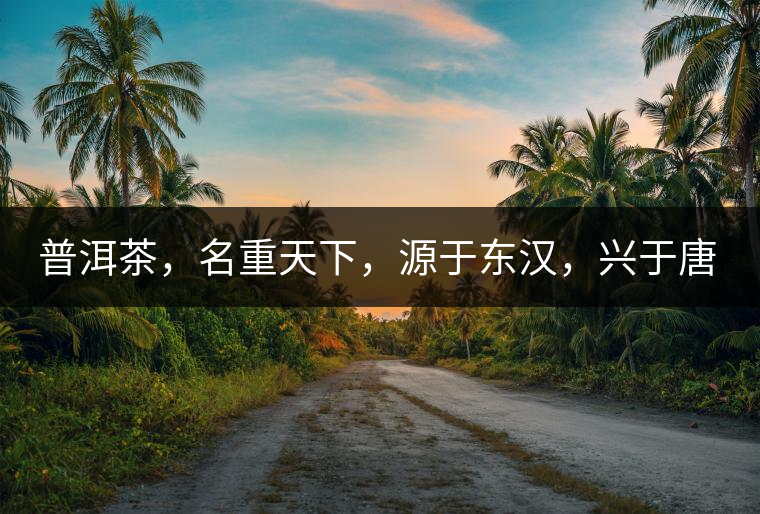 普洱茶，名重天下，源于東漢，興于唐宋，盛于明清。