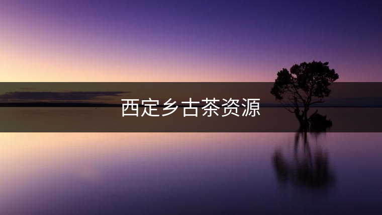 西定鄉(xiāng)古茶資源