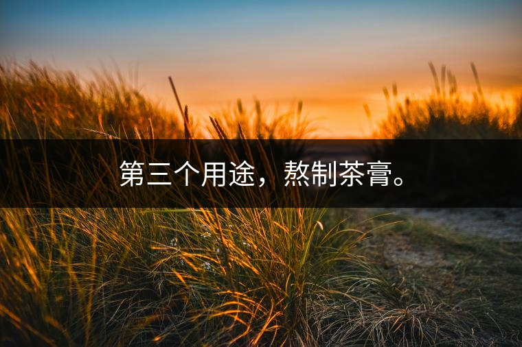 第三個用途，熬制茶膏。