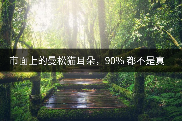 市面上的曼松貓耳朵，90% 都不是真的