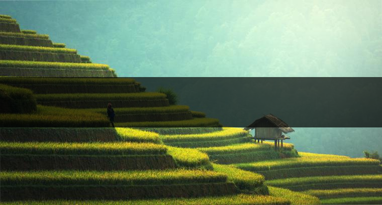 　　是什么支撐著一個(gè)家庭作坊式的小廠成長(zhǎng)為一個(gè)產(chǎn)值上億元的現(xiàn)代企業(yè)？