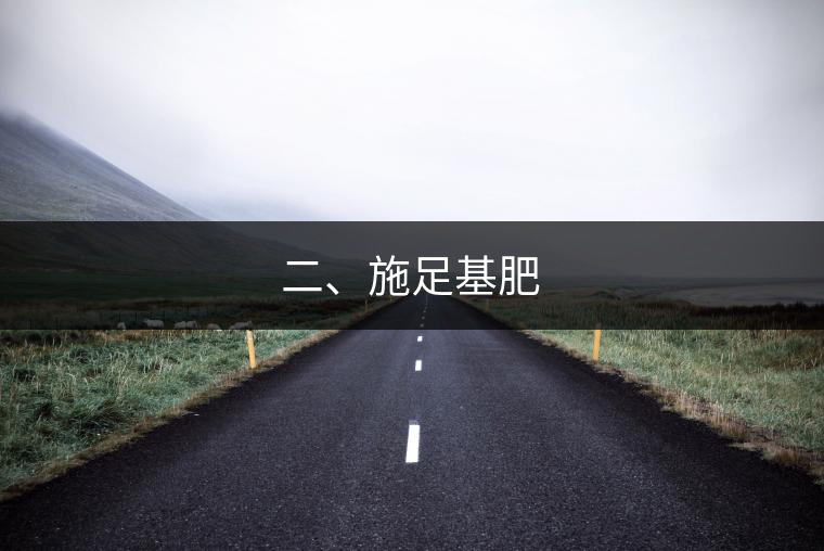 二、施足基肥