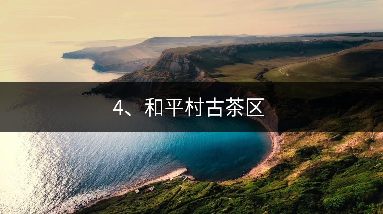 4、和平村古茶區(qū) ?