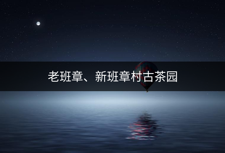 老班章、新班章村古茶園