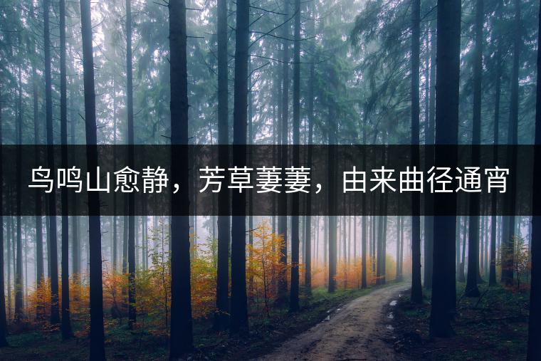 鳥鳴山愈靜，芳草萋萋，由來曲徑通宵漢。