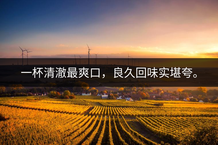 若能一日車(chē)船至，從此美名滿天涯。