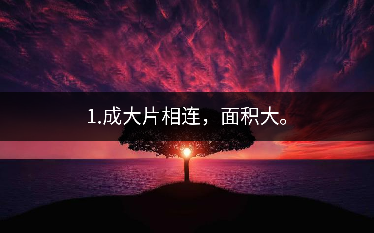 1.成大片相連，面積大。