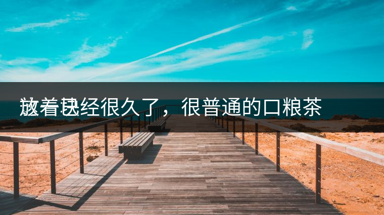 這一塊
放著已經(jīng)很久了，很普通的口糧茶，煙味很重，但回甘也可以，隨意喝喝吧。