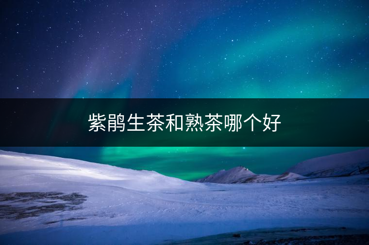 紫鵑生茶和熟茶哪個好