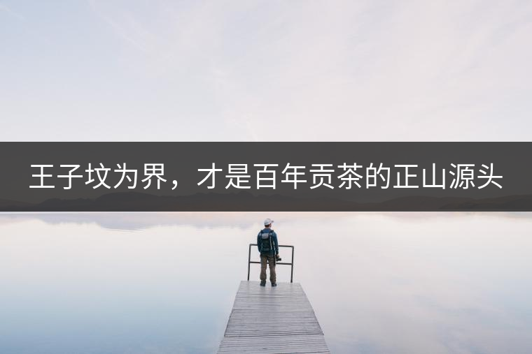 王子墳為界，才是百年貢茶的正山源頭