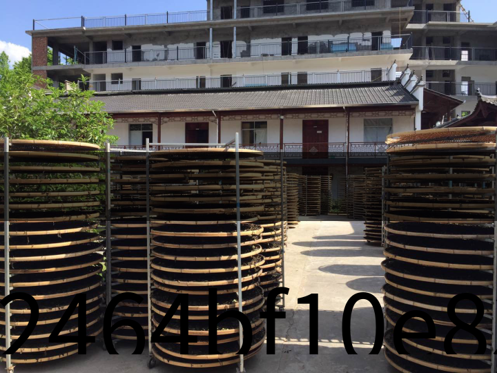 02464bf10e834d54867e28aaf9090c53 02464bf10e834d54867e28aaf9090c53