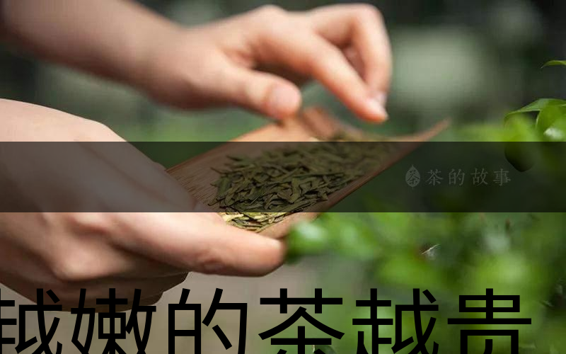 越嫩的茶越貴，但越貴的茶就越好嗎？