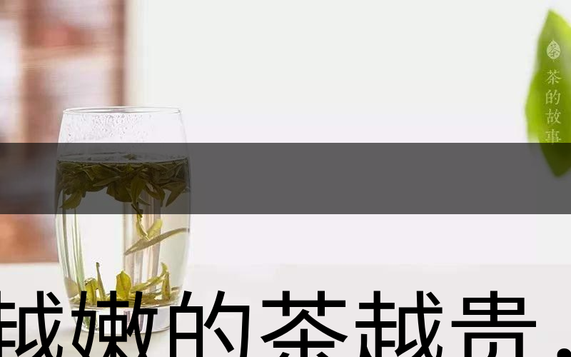 越嫩的茶越貴，但越貴的茶就越好嗎？-2