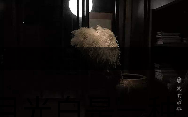 月光白是一種什么茶？