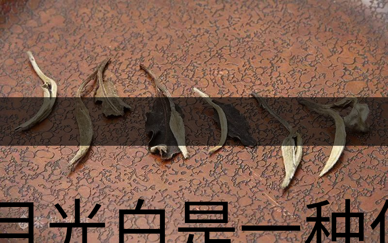 月光白是一種什么茶？-1