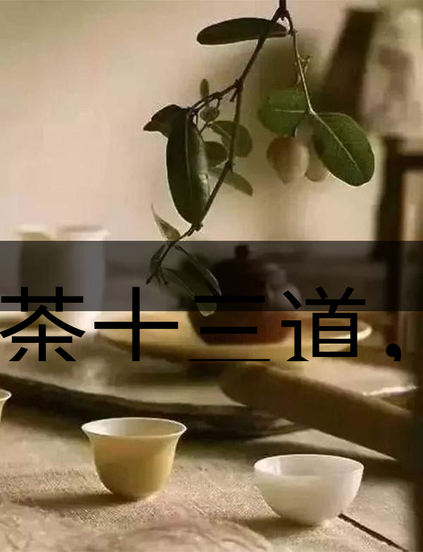 喝茶十三道，道道皆精華！-2