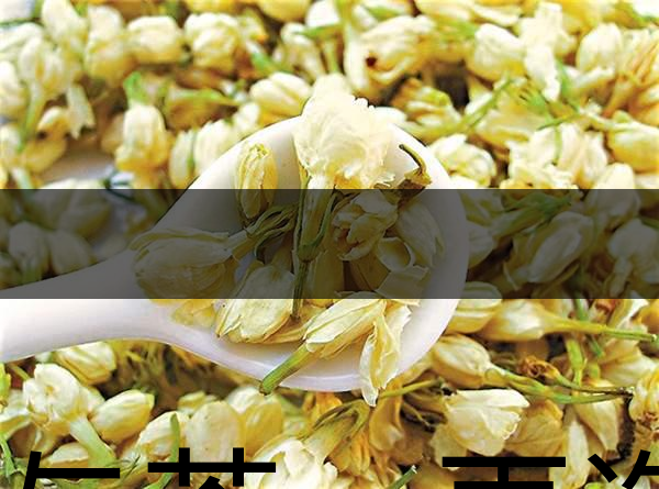 花與茶，再造茉莉之都——福州-1