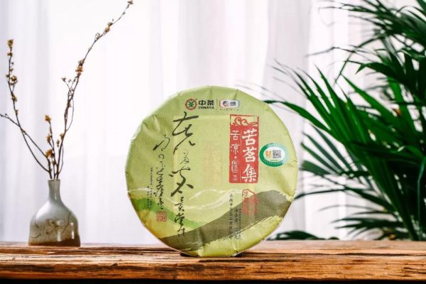 中茶苦涼 | 干倉陳化，湯厚味苦