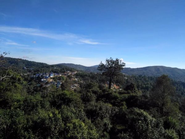 蘭香賀開，甘甜賀開