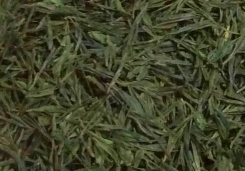 什么是海青茶？沖泡手法詳細(xì)教學(xué)！