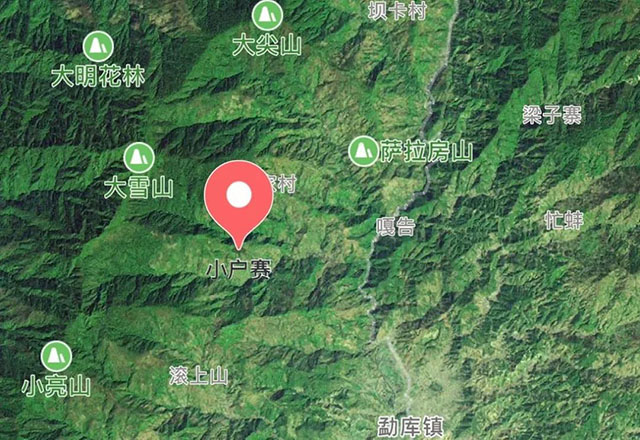 2021年小戶賽古樹(shù)秋茶有什么特點(diǎn)？