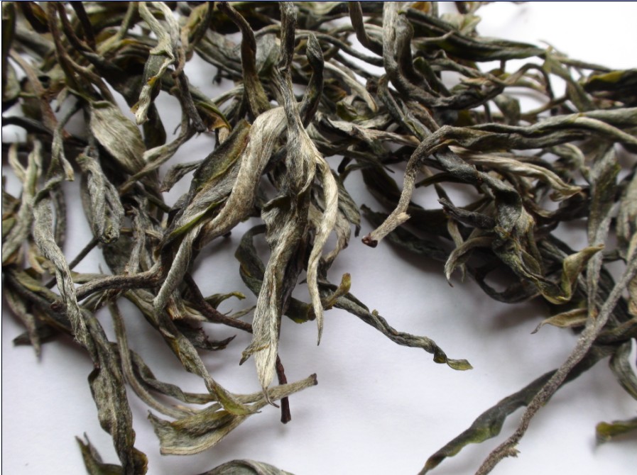 2021年馬鞍山古樹秋茶價(jià)格？