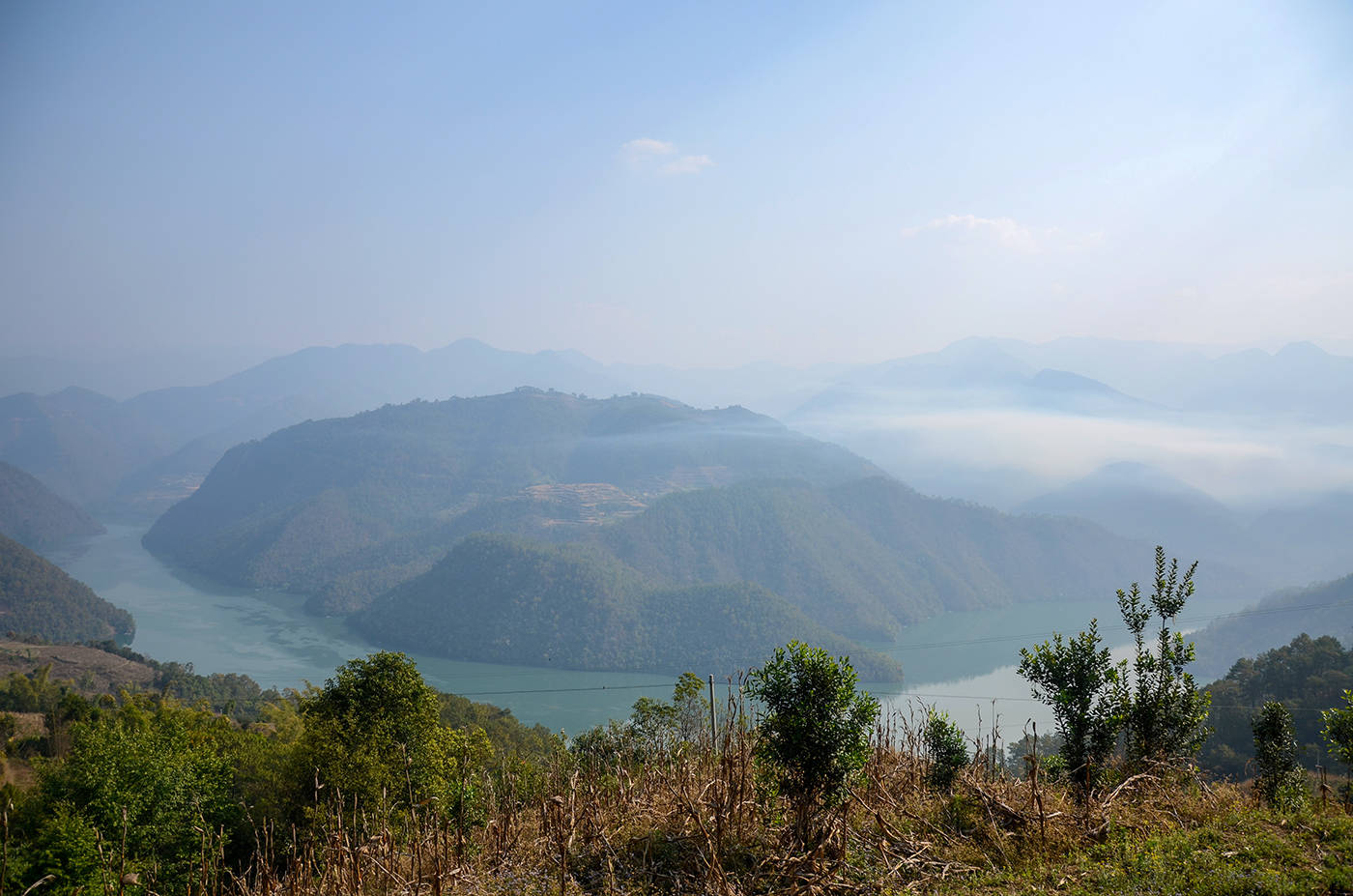 2021年白鶯山古樹秋茶，佛茶有什么魅力？