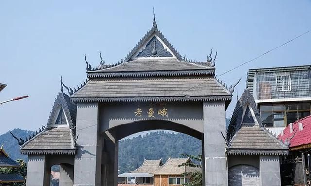 2021年老曼峨古樹秋茶特點？