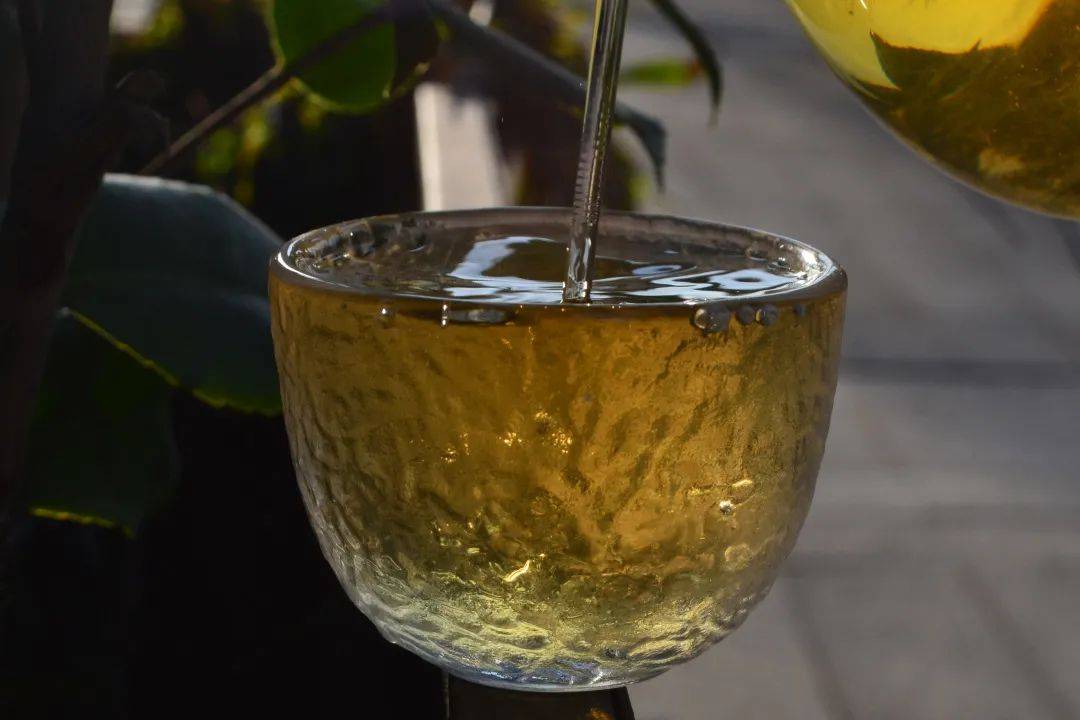 2021班章茶區(qū)壩卡竜古樹秋茶口感是什么？