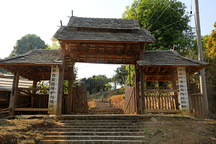 2021年賀開古樹秋茶特點？