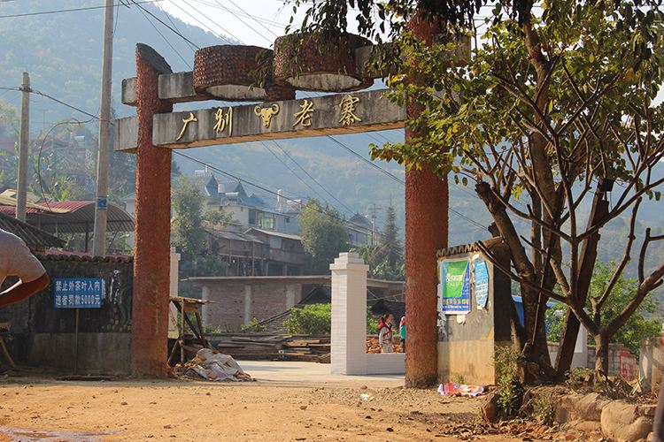 2021年廣別老寨古樹秋茶口感？