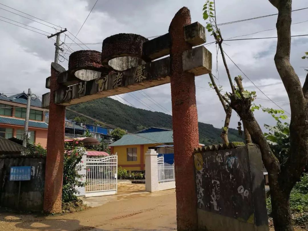 2021年廣別老寨古樹秋茶多少錢一公斤？