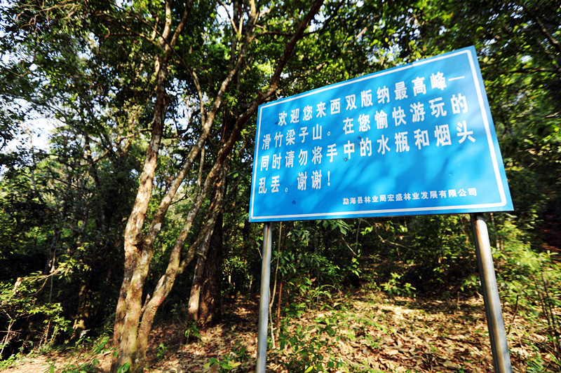 2021年滑竹梁子古樹秋茶價(jià)格？