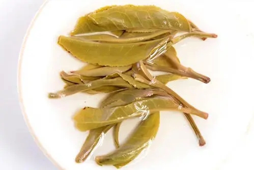 2021年南糯山拔瑪老寨古樹秋茶多少錢一公斤？