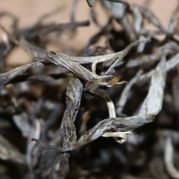 2021年帕沙古樹秋茶，你了解多少？