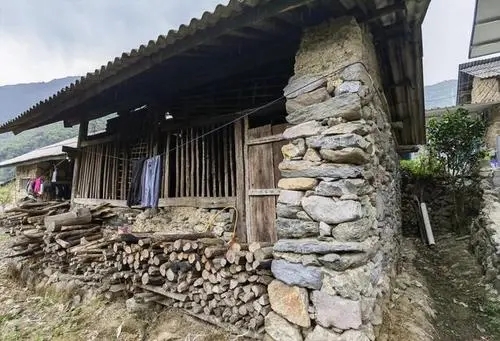 2022年景谷黃草壩古樹春茶特點是什么？