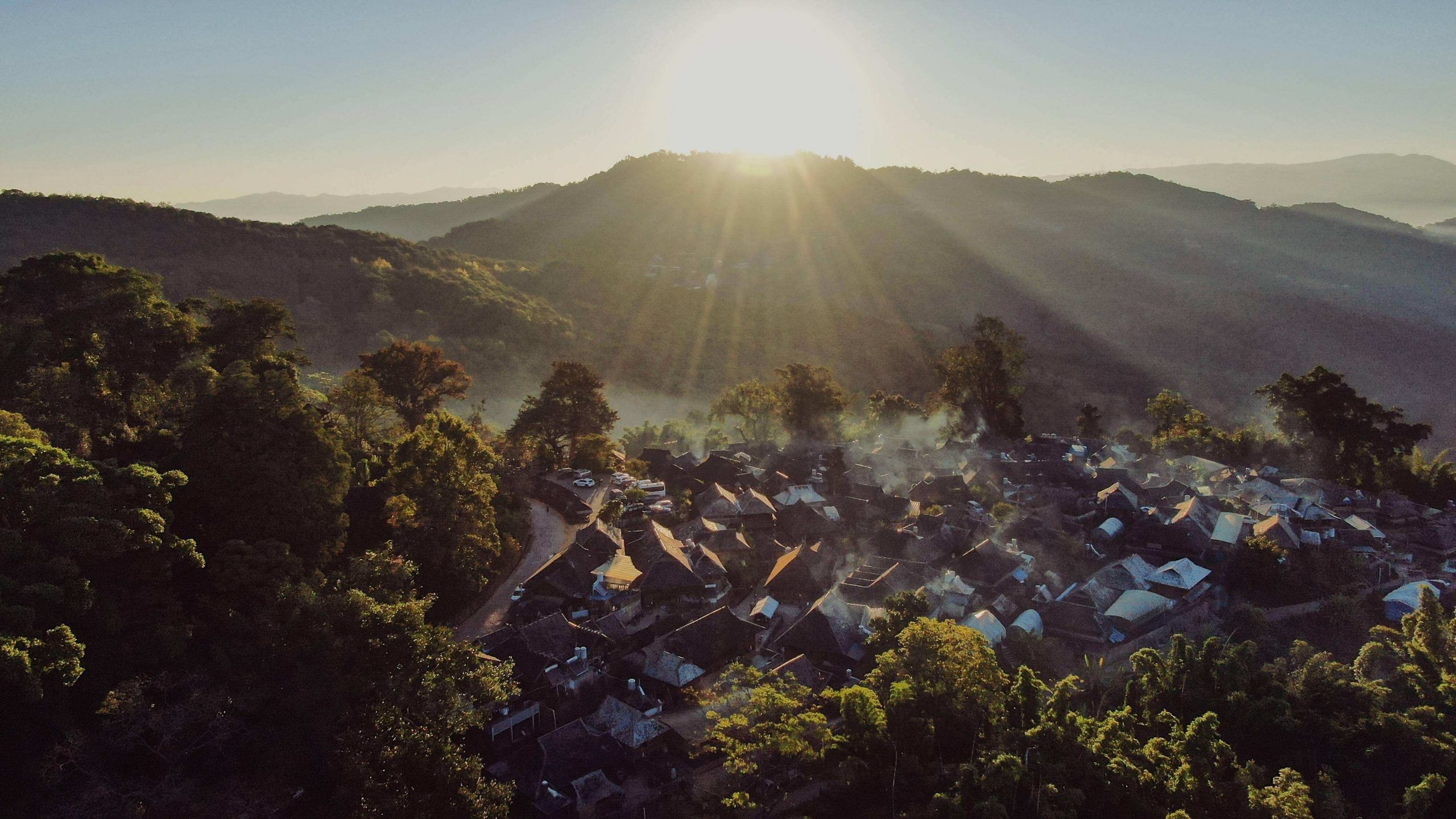 2022年景邁山古樹春茶特點？