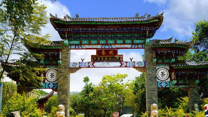 2022年易武正山在哪？易武正山是什么意思？