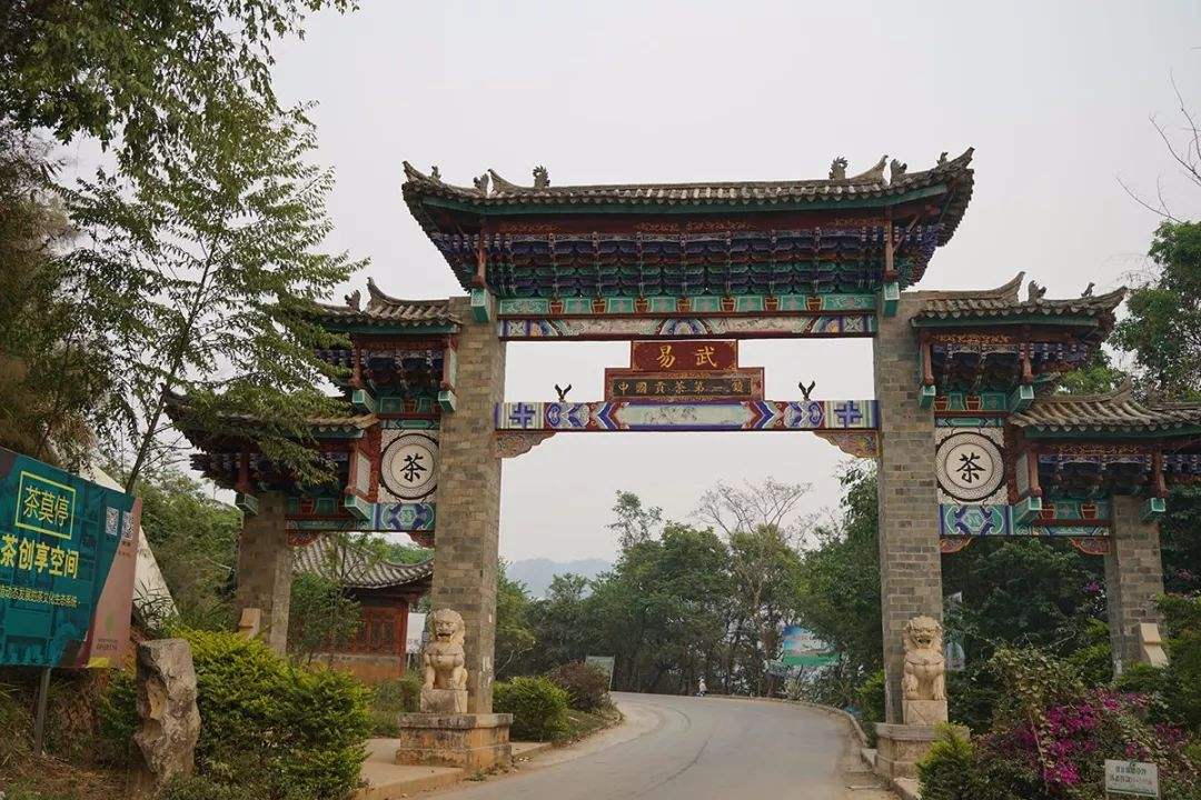 2022年易武正山古樹春茶特點？