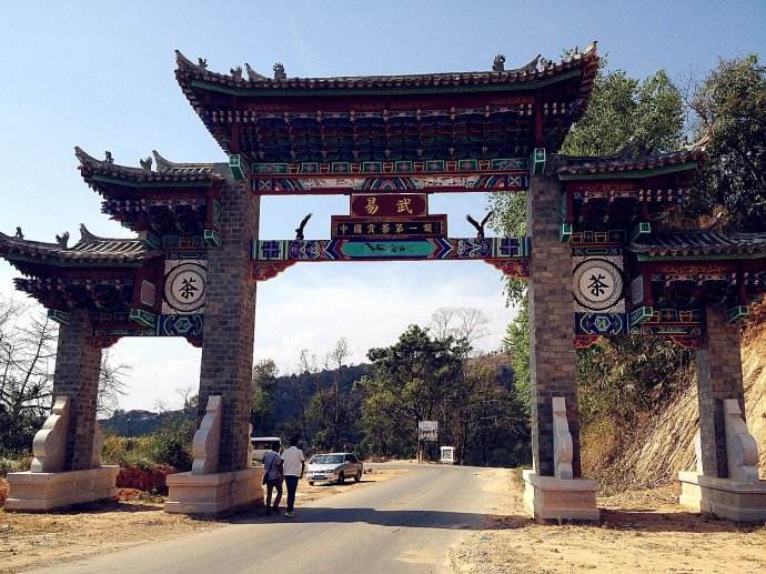 2022年易武正山古樹春茶價格？