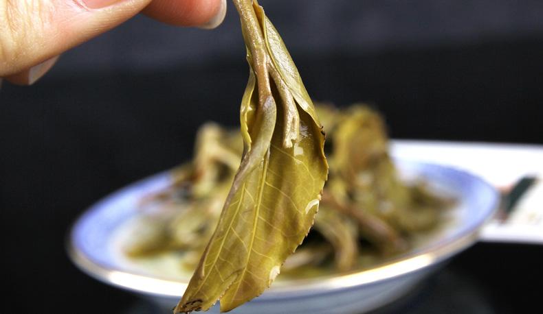 2022年冷水河古樹春茶價(jià)格？