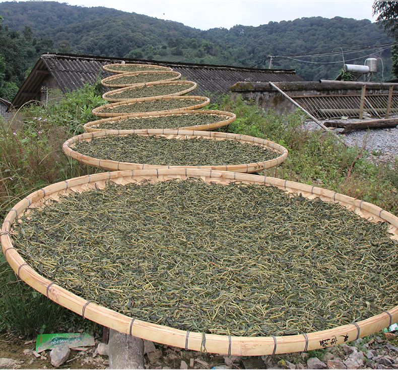 2022年白沙河古樹(shù)春茶價(jià)格？