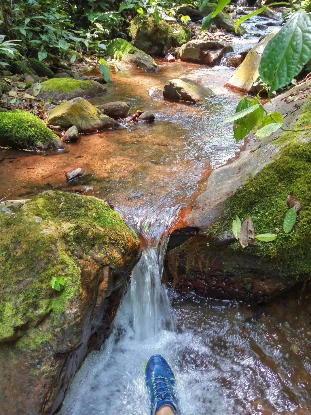 2022年銅箐河古樹春茶多少錢一公斤？